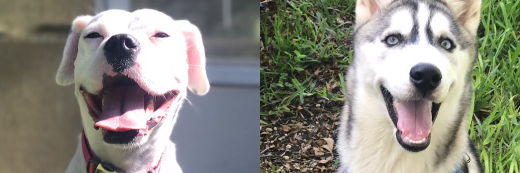 desthebesttt's profile banner image