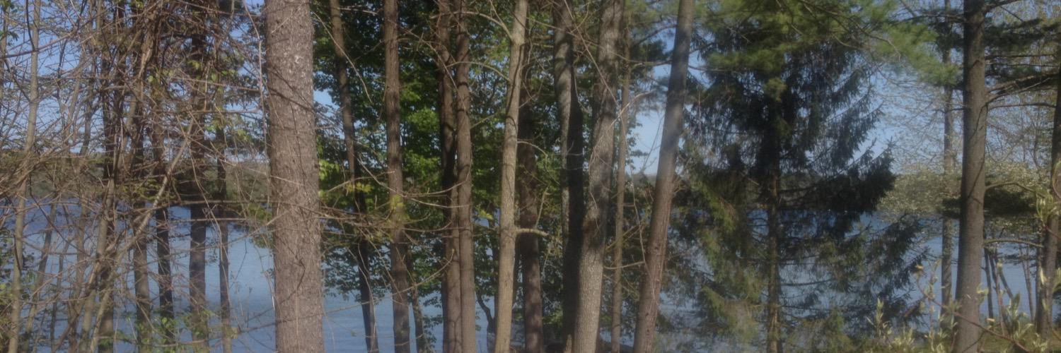 MikeyWard11's profile banner image