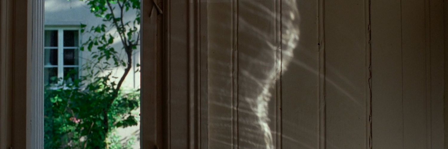 LauraSalamandra's profile banner image