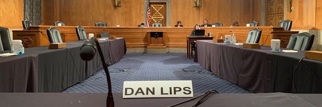Dan Lips banner