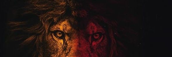 ayhanortaoglan's profile banner image
