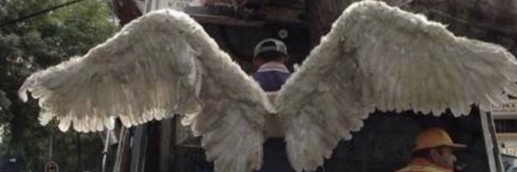 ryleejonathon's profile banner image