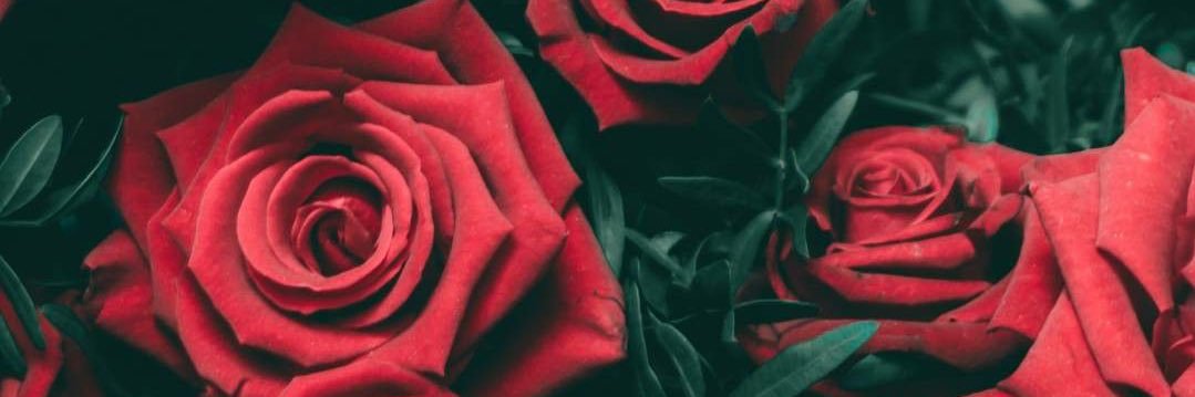 Sammydew1's profile banner image