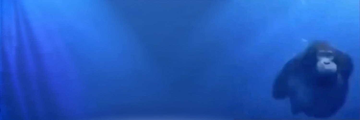 Dolph banner