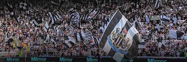 Roomey banner