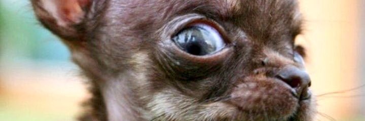 nomeescondo's profile banner image