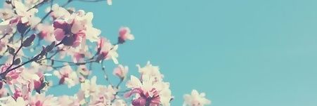 Nerea_Rsn's profile banner image