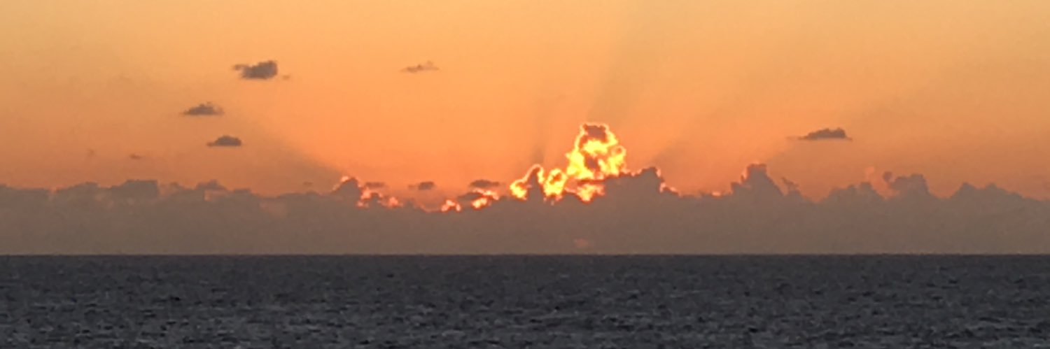 Patrick Pierce banner