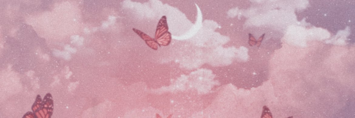 SkySoSweet's profile banner image