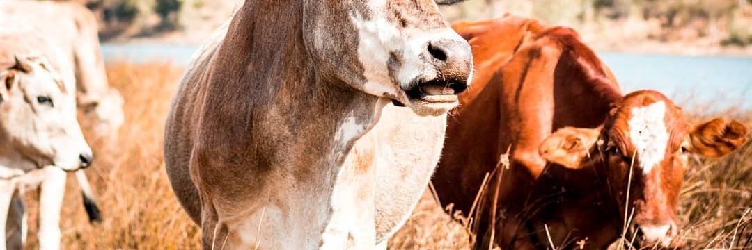 Clintio_'s profile banner image
