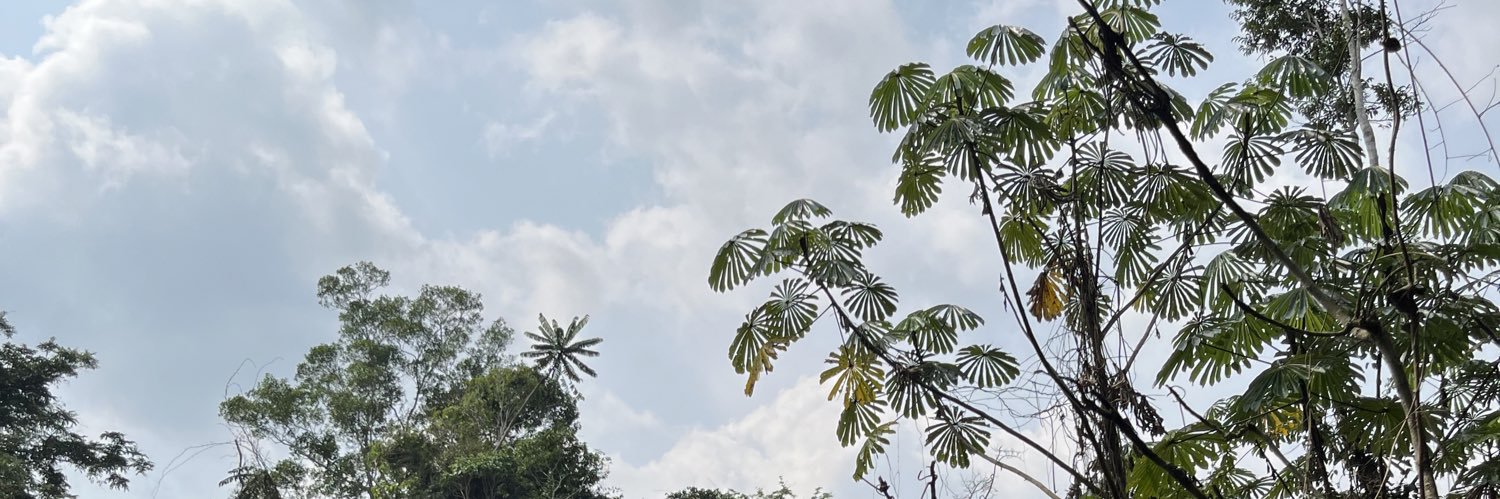 kingdavidj_'s profile banner image