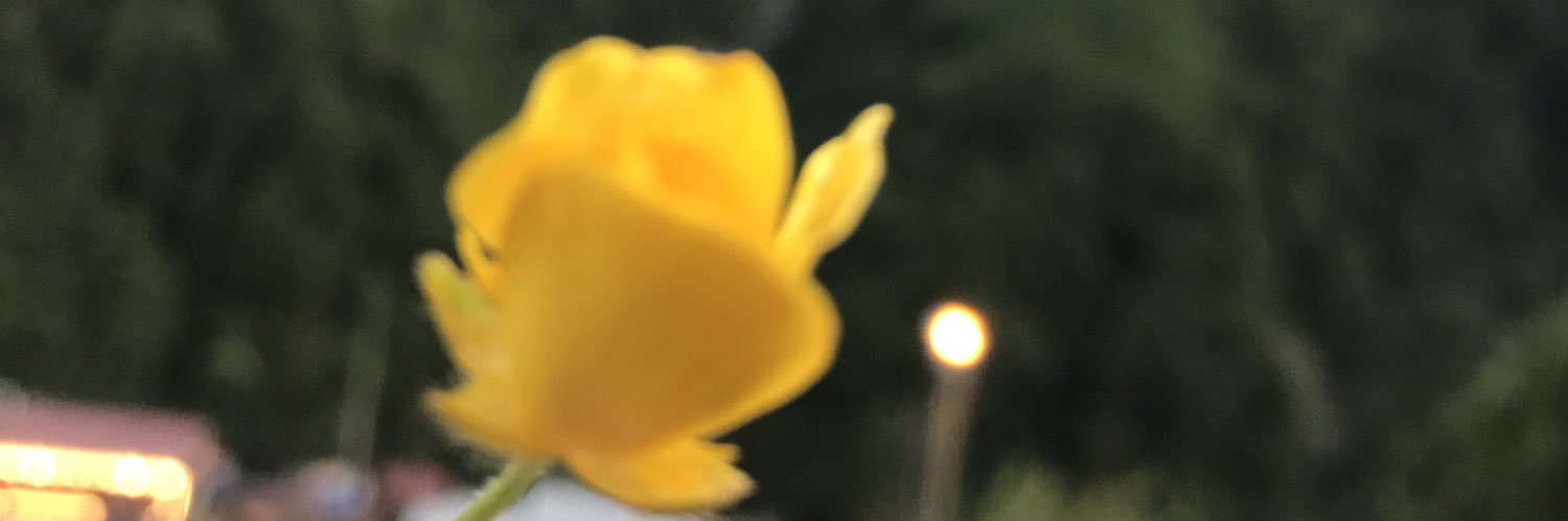 Rya0084's profile banner image