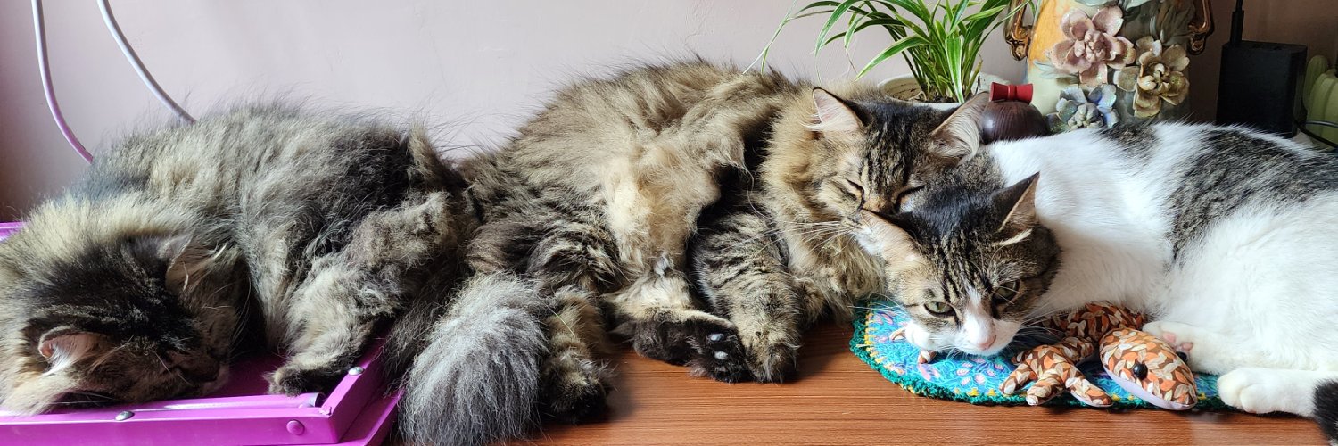 NINA - ꦤꦶꦤ banner