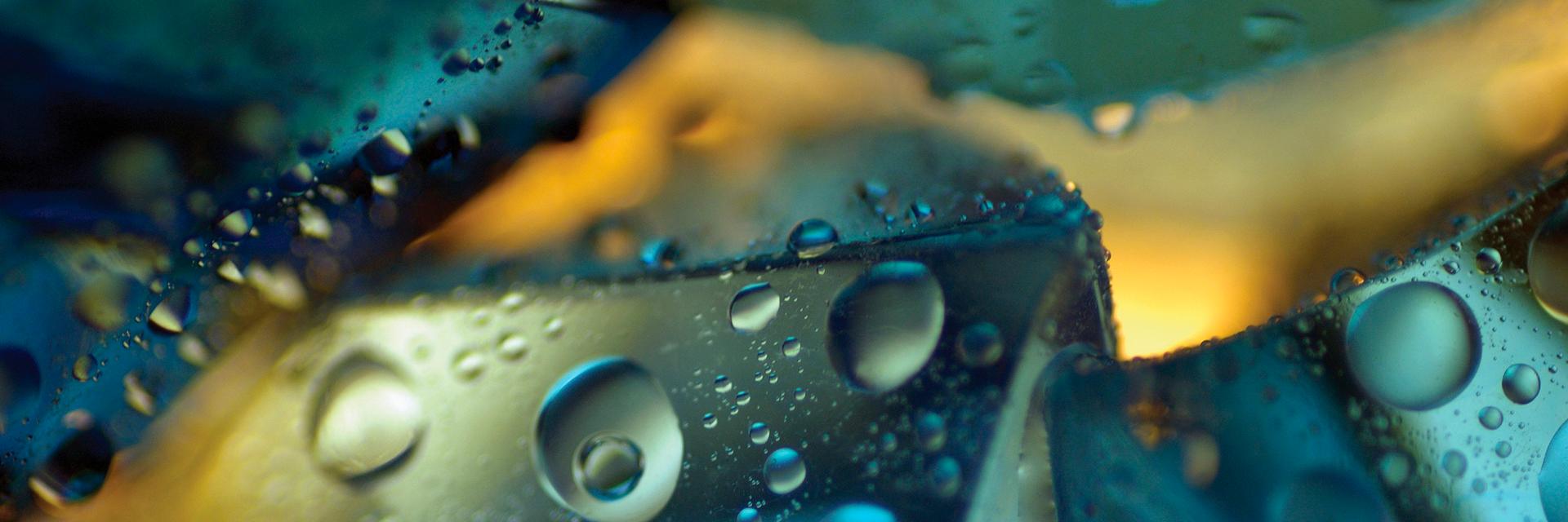 NPMC8's profile banner image