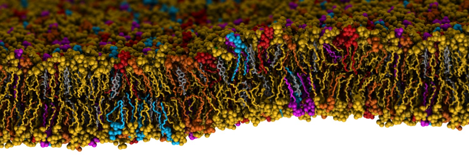 Emad Tajkhorshid, PhD's banner