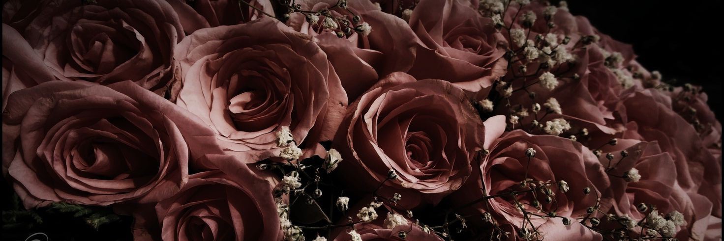 leahtrbl's profile banner image