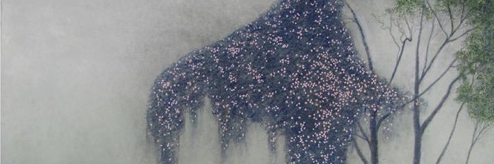 meritrescoma14's profile banner image