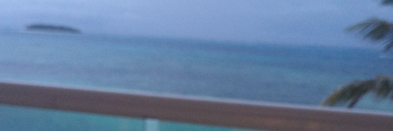 UtriaAlvarez's profile banner image