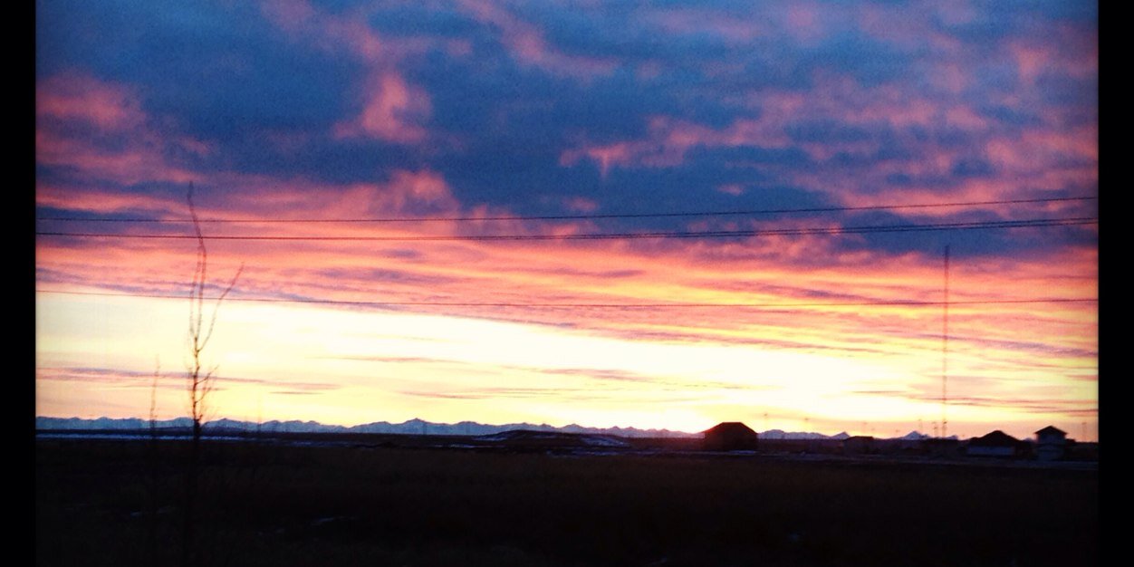 Casey Scheidegger banner