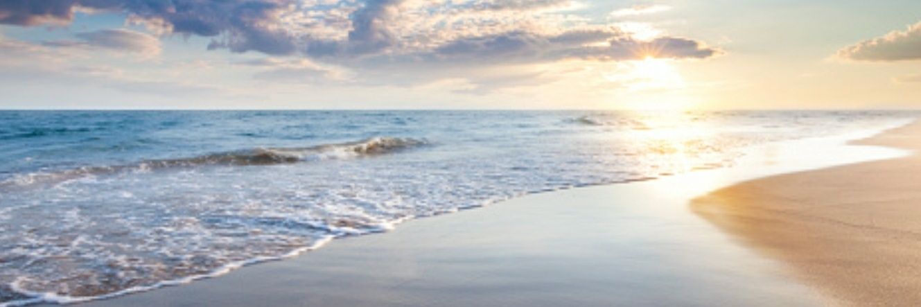 Bridsur 🇪🇦 banner