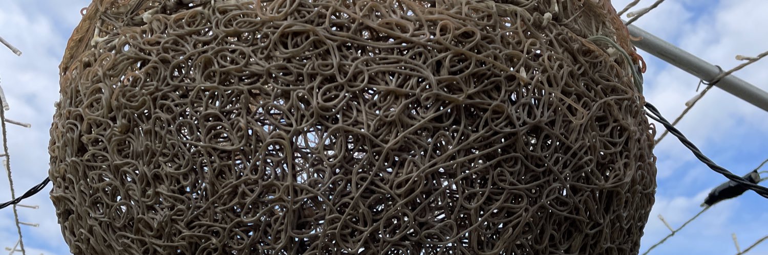 Frokkub's profile banner image