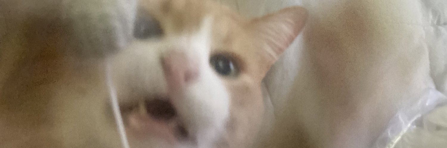 jinglebayls's profile banner image