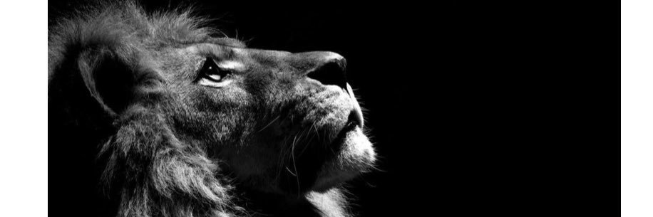 VangNat's profile banner image