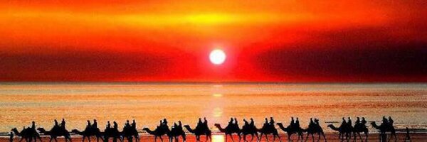 Sharrimacy Profile Banner