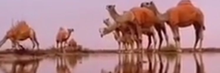 M_DHAFER's profile banner image
