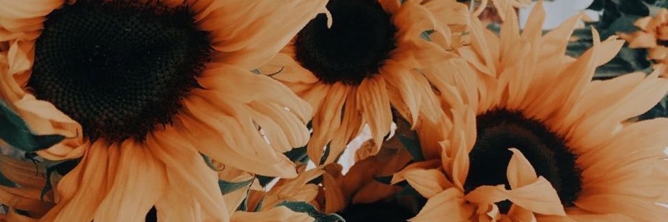 justdejx3's profile banner image