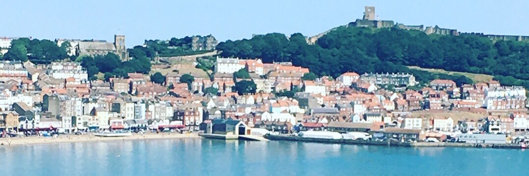 Tracy Calcraft 💙 banner