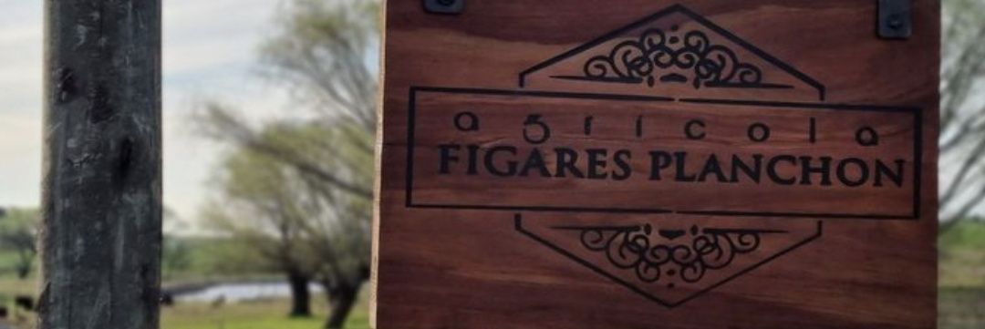 hjfigares's profile banner image