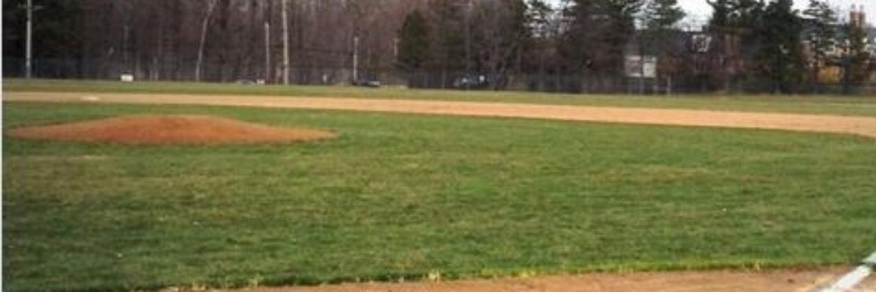 OrangeBaseball1's profile banner image