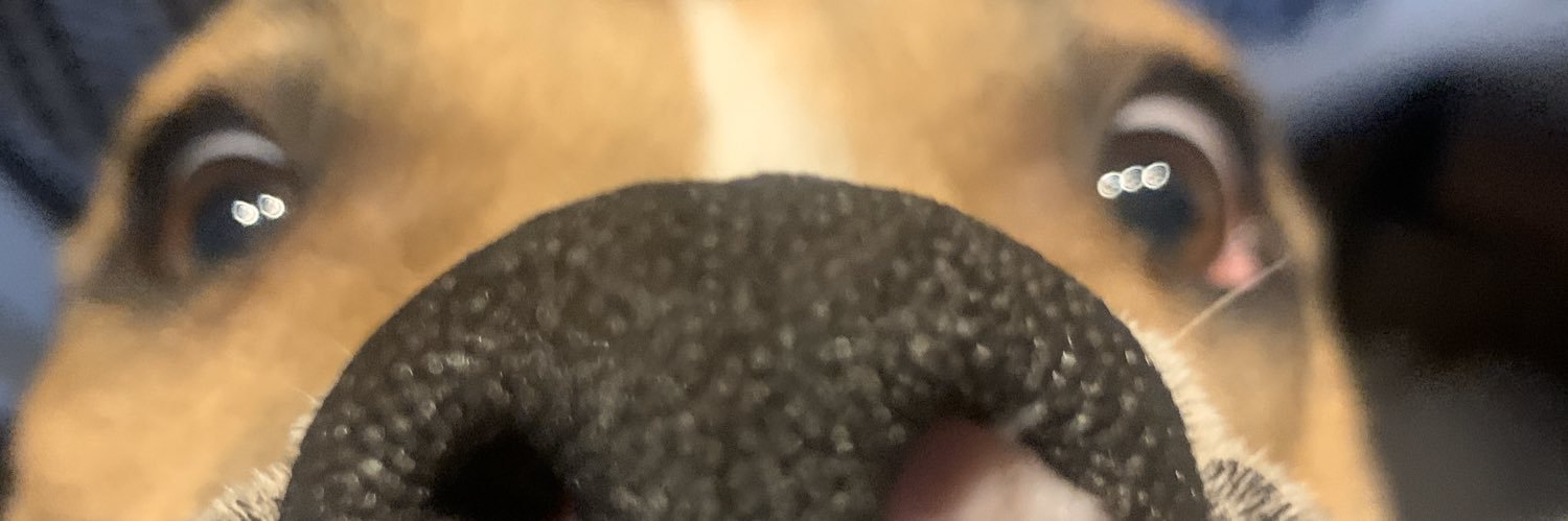 sam_mild's profile banner image