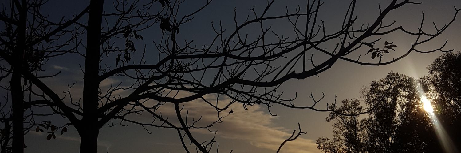 mrvbyl's profile banner image