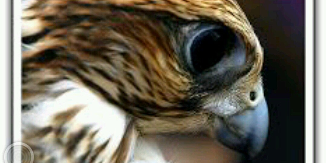 _545879490269's profile banner image