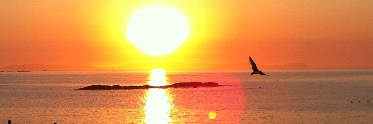 plorenb's profile banner image