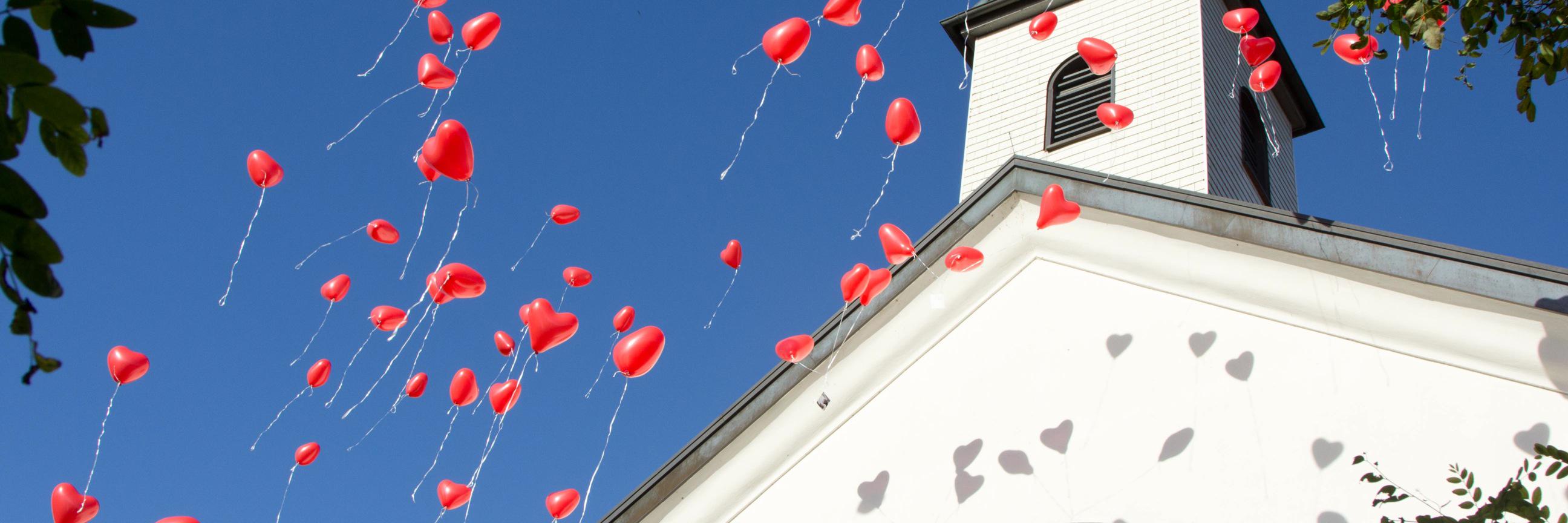 bergkirche's profile banner image