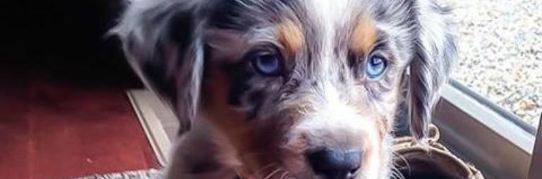 Diosy11's profile banner image