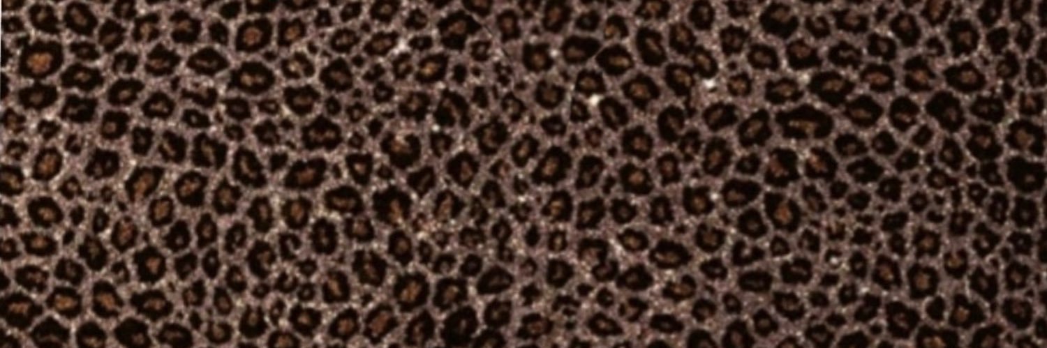 InaraZahid's profile banner image