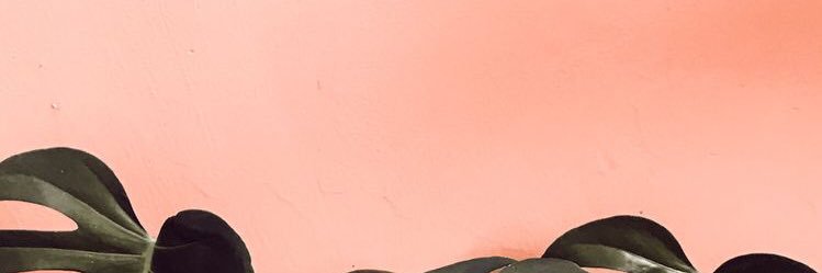 monseacd's profile banner image