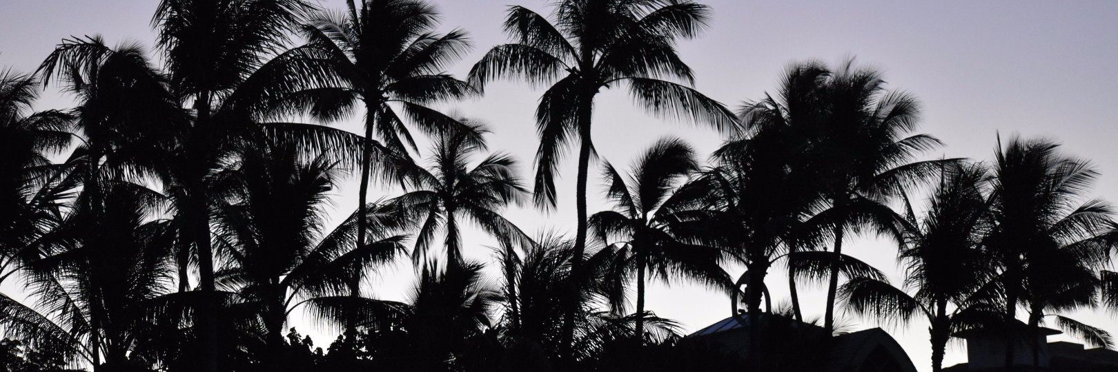 Made_Em_America's profile banner image