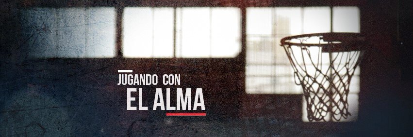 Koala Contenidos banner
