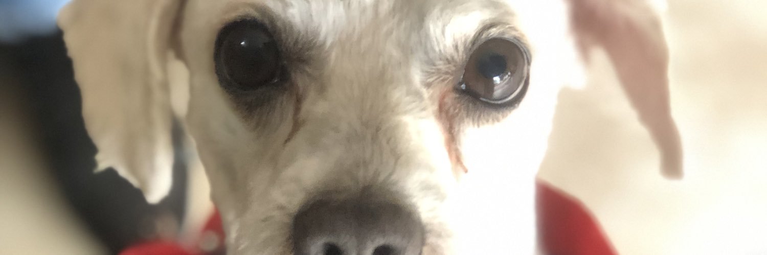 csrolon's profile banner image