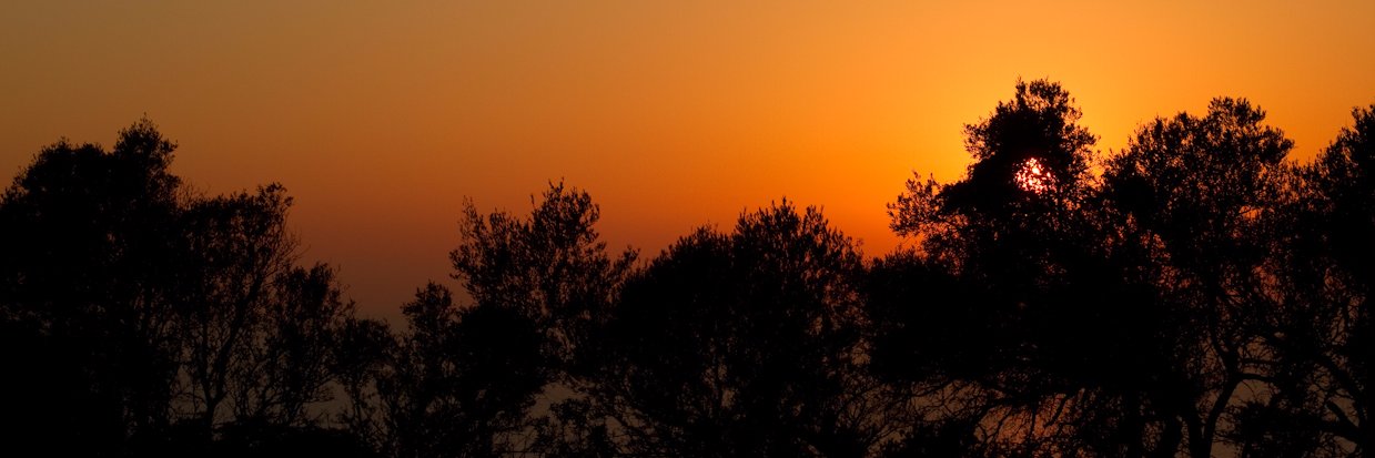 PepAurell's profile banner image