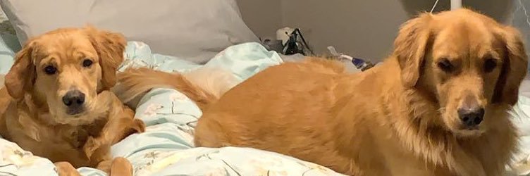 BJean_VanEss's profile banner image