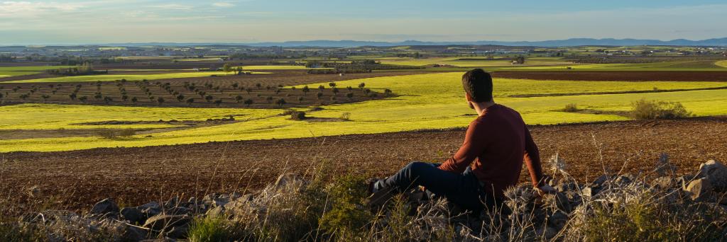 _manuelcantero's profile banner image