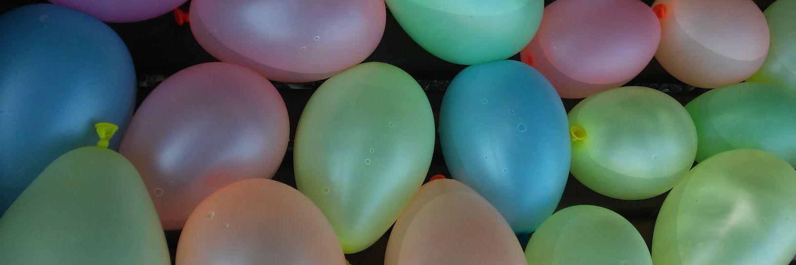 Sílvia Pinto banner