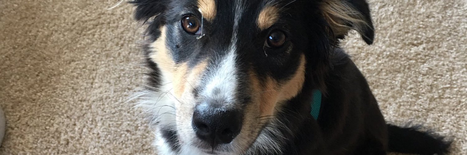 Vince McCambridge banner