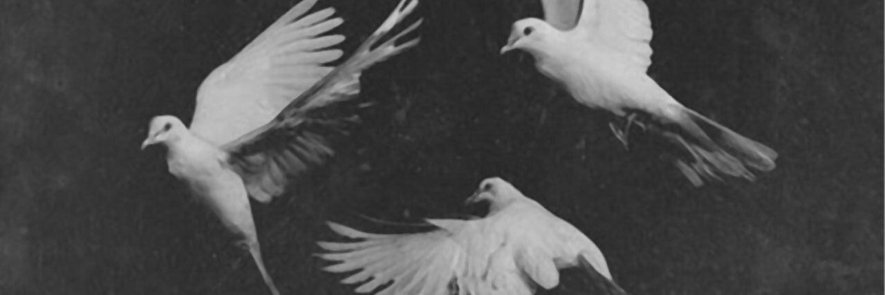 bashairf's profile banner image